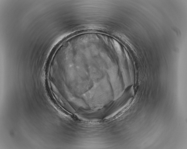 X0000112351024200909031844