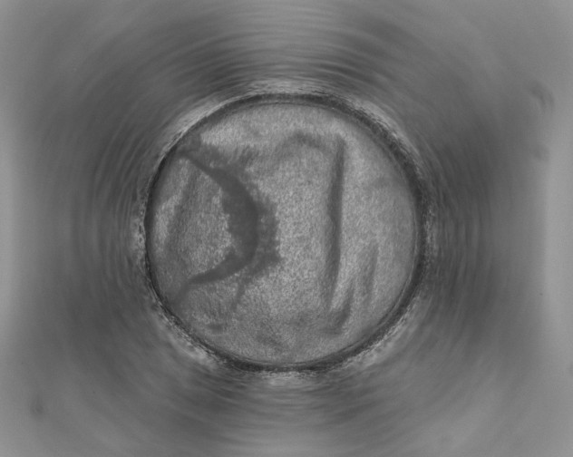 X0000112351025200909031844