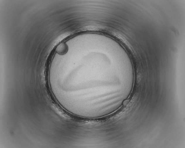 X0000112351026200909031844