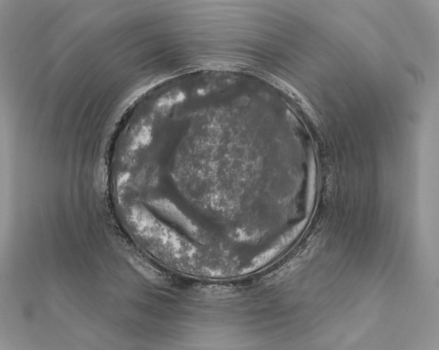 X0000112351027200909031844