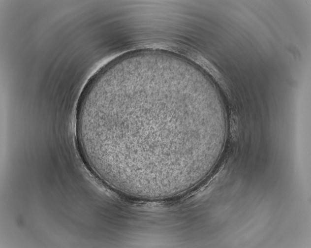 X0000112351028200909031845