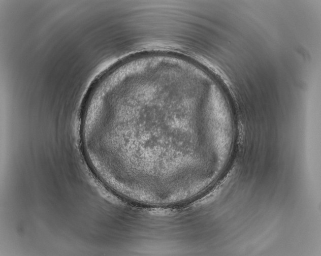 X0000112351029200909031845