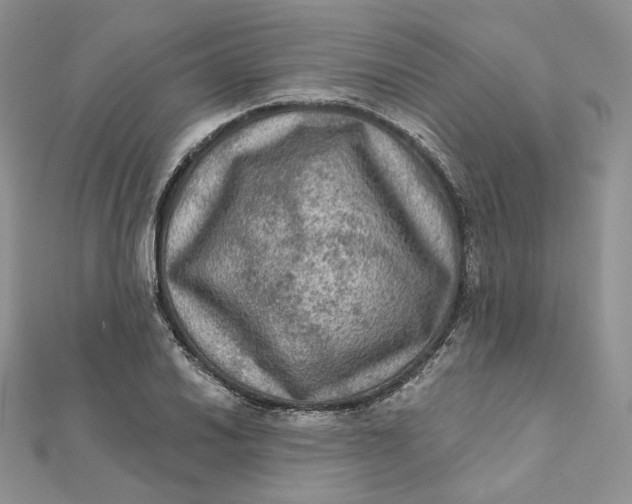 X0000112351030200909031845