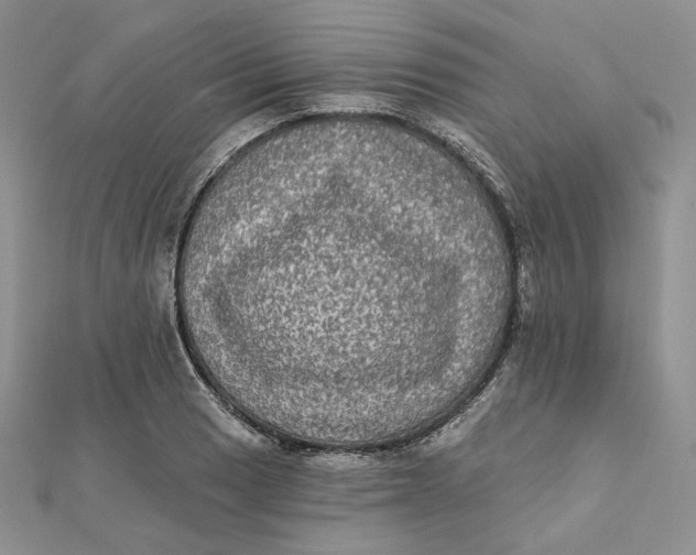 X0000112351033200909031845