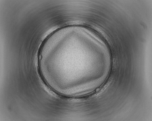 X0000112351034200909031845