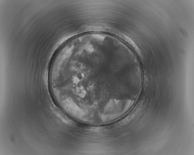 X0000112351035200909031845