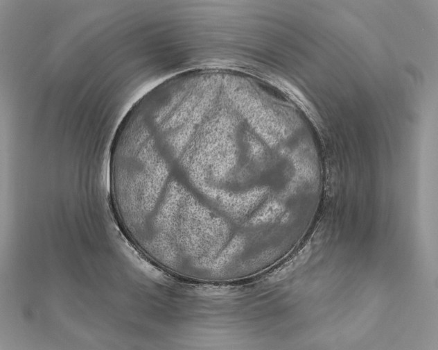 X0000112351036200909031845