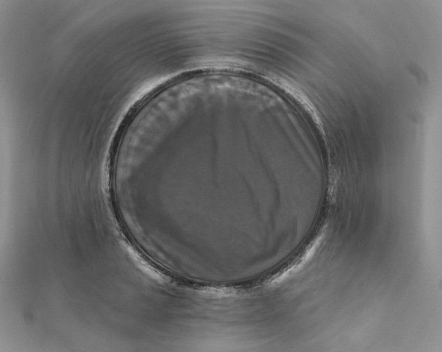 X0000112351037200909031845