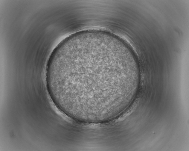 X0000112351038200909031845