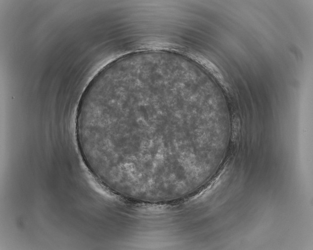 X0000112351039200909031845