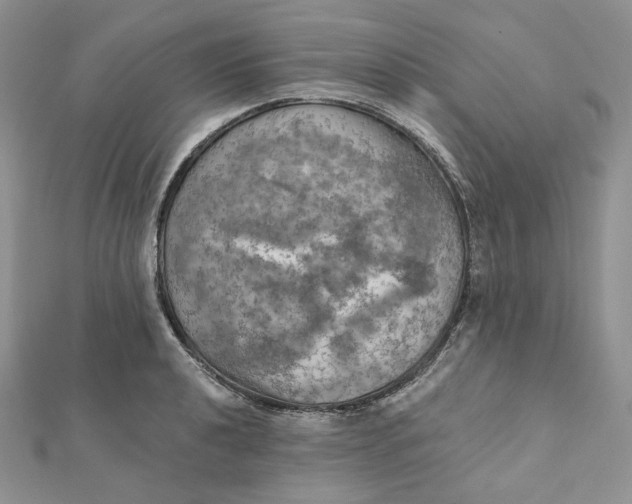 X0000112351040200909031845