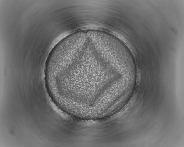 X0000112351042200909031845