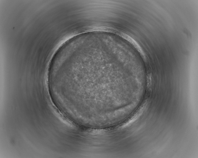 X0000112351043200909031845