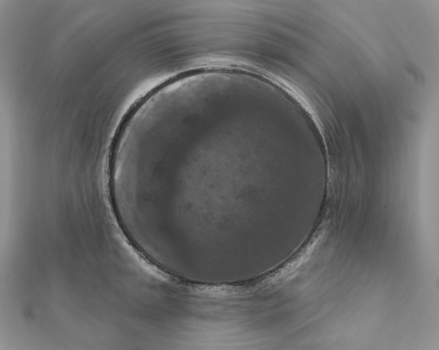 X0000112351045200909031845