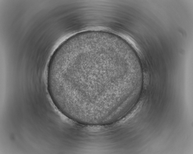 X0000112351046200909031845