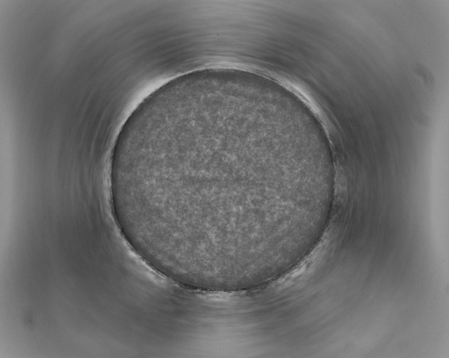 X0000112351048200909031845