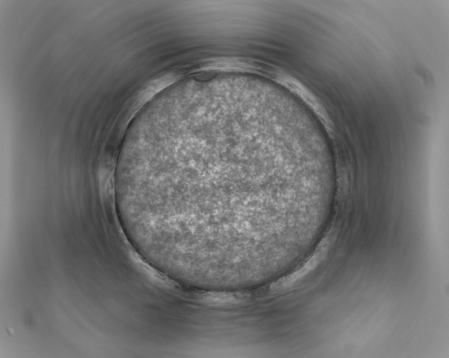 X0000112351049200909031845