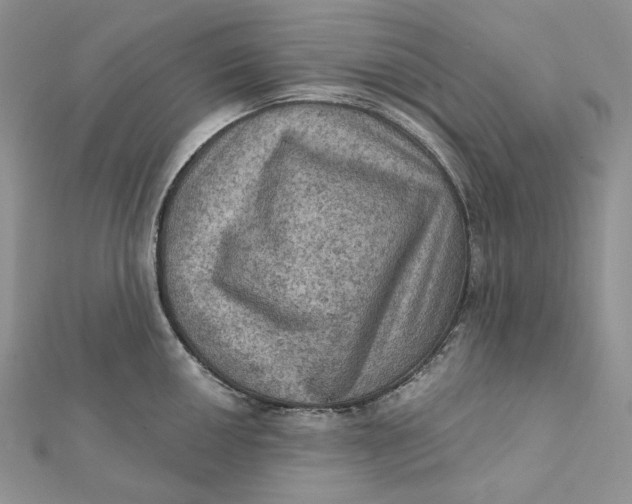 X0000112351050200909031845