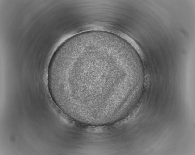 X0000112351051200909031845