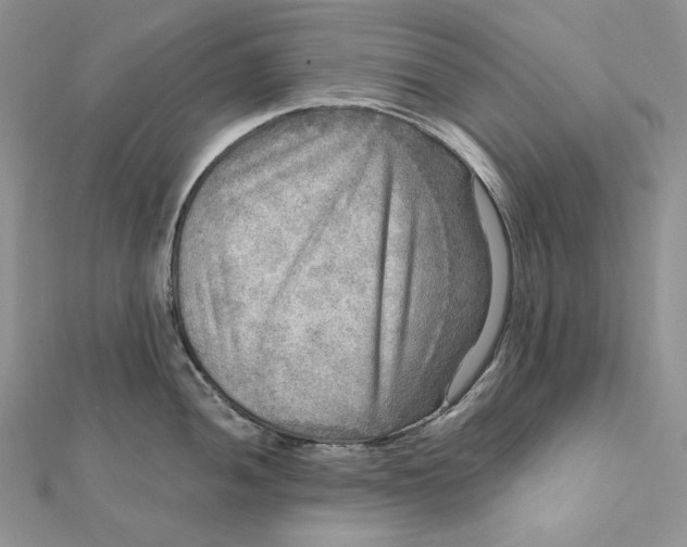 X0000112351052200909031845