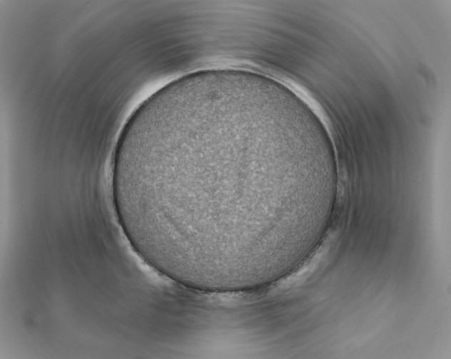 X0000112351053200909031845