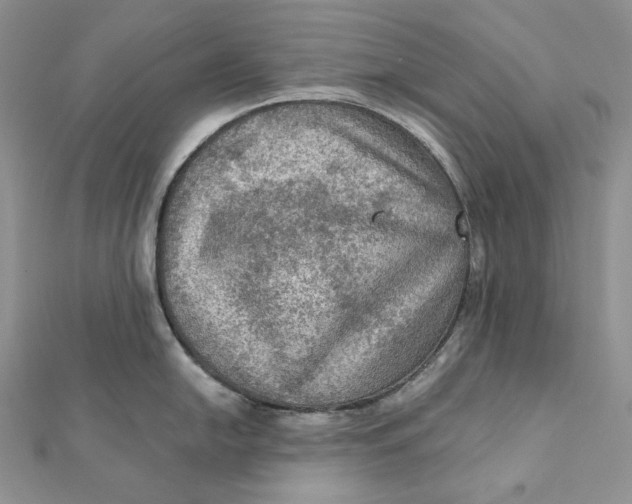 X0000112351054200909031845