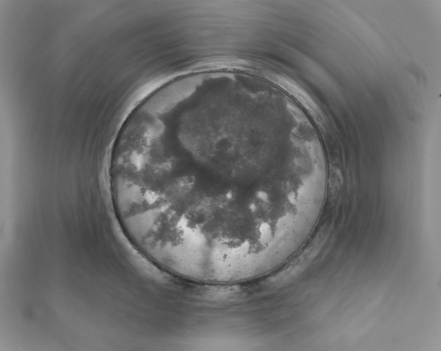 X0000112351055200909031845