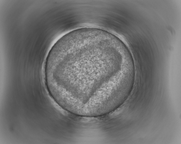 X0000112351056200909031845