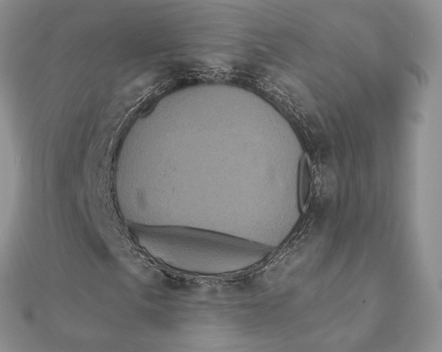 X0000112351057200909031844