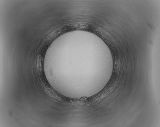 X0000112351058200909031844