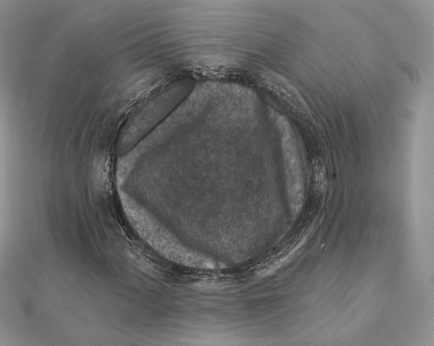 X0000112351060200909031844