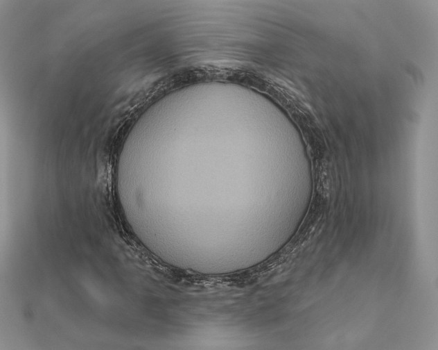 X0000112351061200909031844