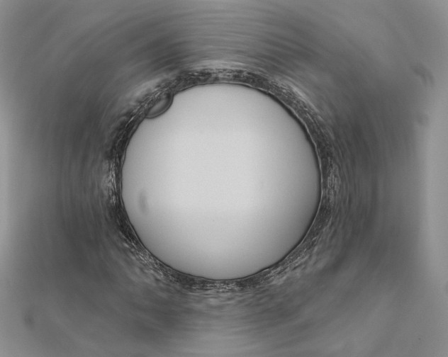 X0000112351062200909031844