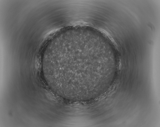 X0000112351063200909031844