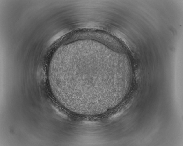 X0000112351064200909031844