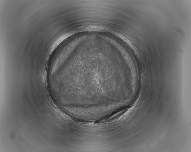 X0000112351066200909031844