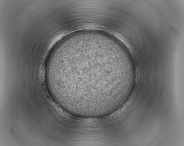 X0000112351067200909031844