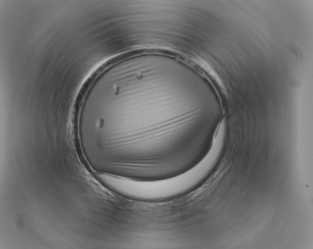 X0000112351068200909031844