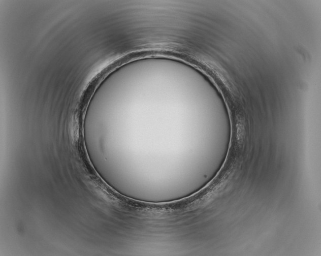 X0000112351069200909031844