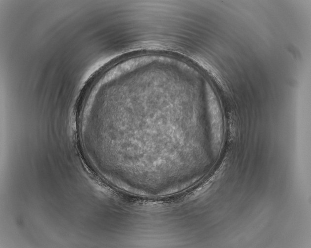 X0000112351070200909031844