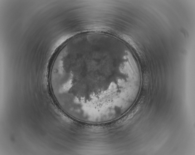 X0000112351071200909031844