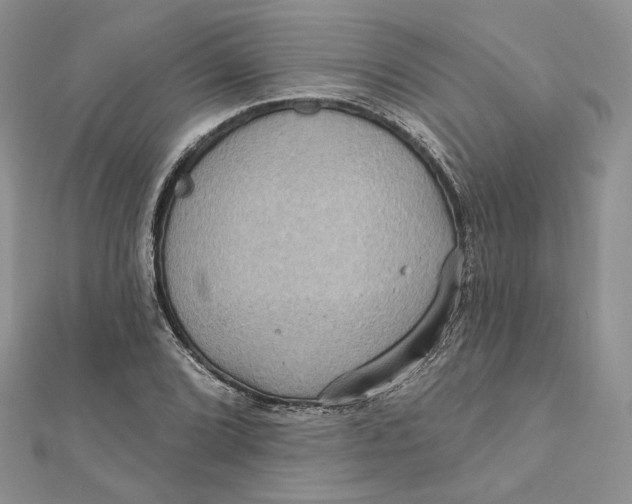 X0000112351072200909031844