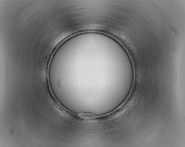 X0000112351073200909031844