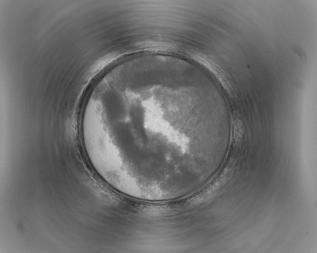 X0000112351074200909031844