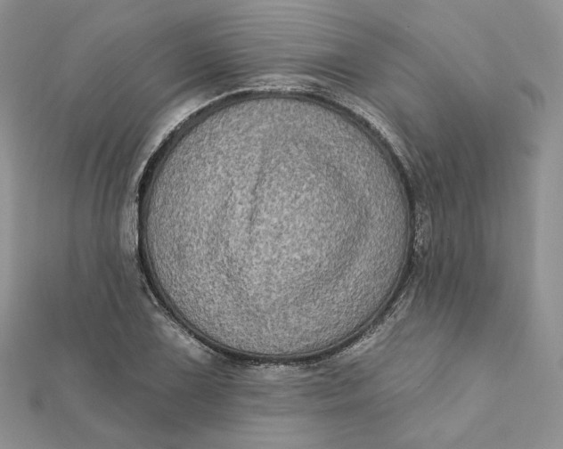 X0000112351075200909031844