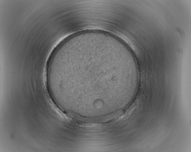 X0000112351076200909031844