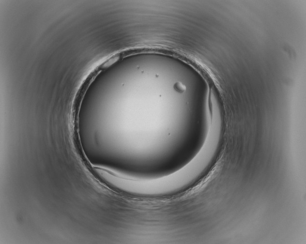 X0000112351077200909031844