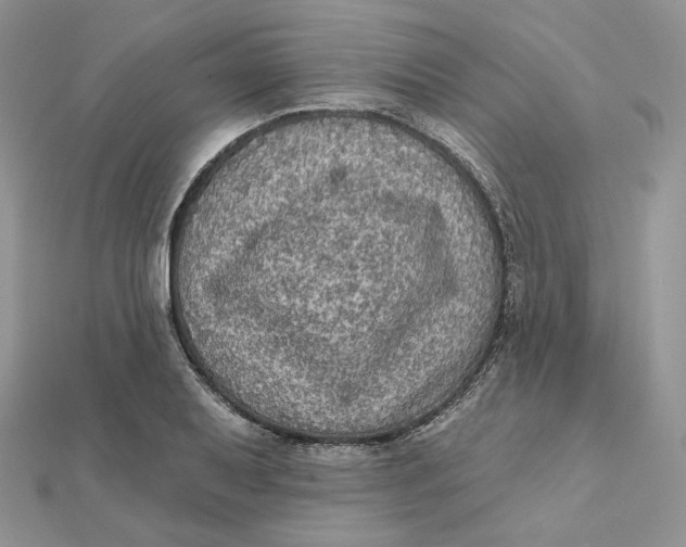 X0000112351079200909031844