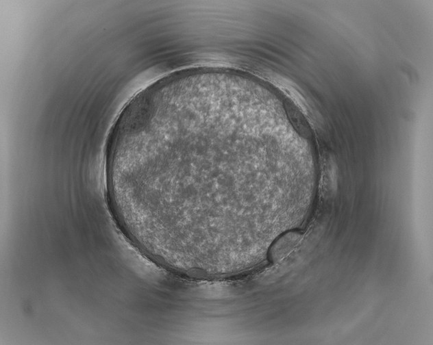 X0000112351080200909031844