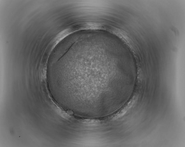 X0000112351081200909031844